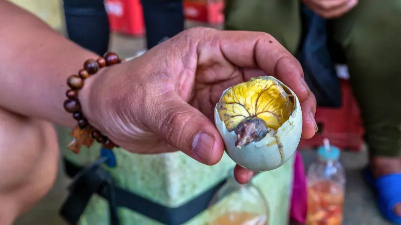 Balut, a fertilized duck egg, is a famous Cebu street delicacy.