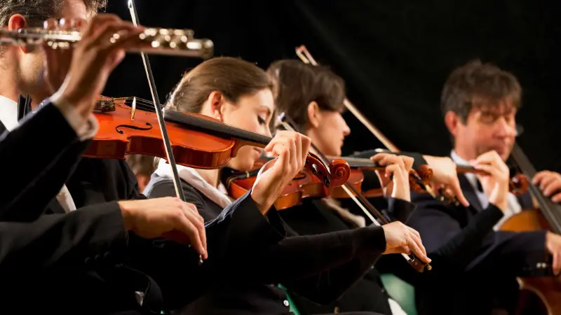 Orchestra musicians playing violins during a Vienna concert.