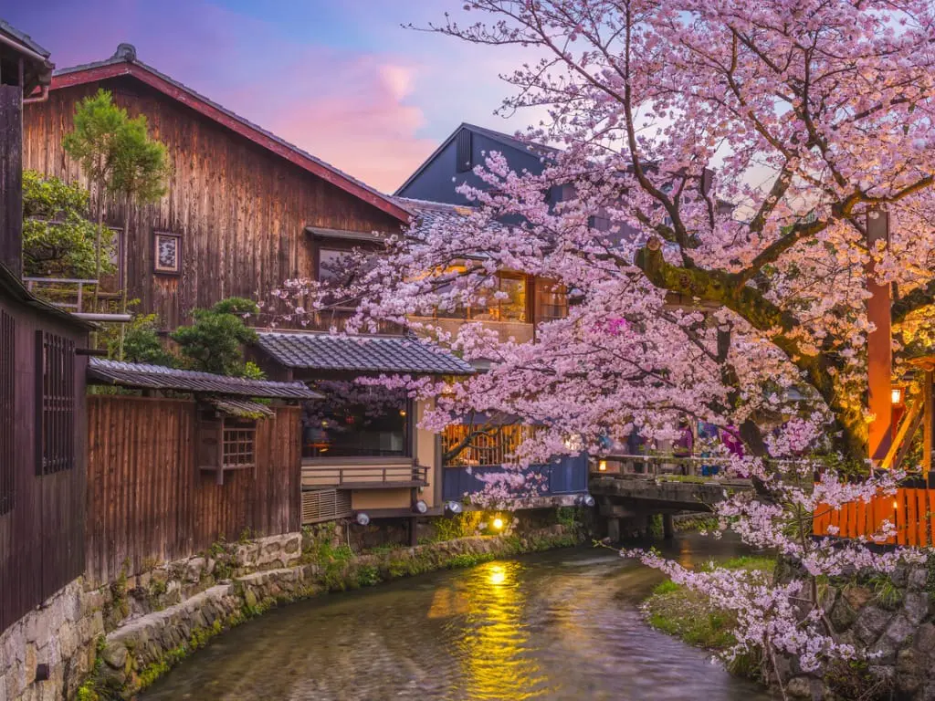 Nature & Expeditions