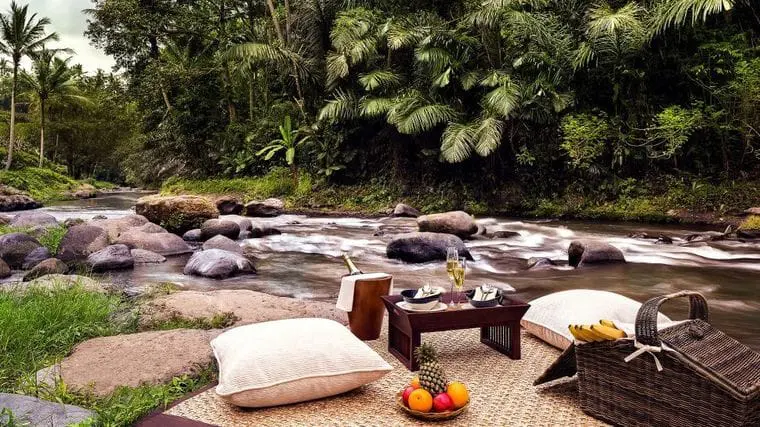 Image of picnic set up by the water with pillows, fruits and champagne