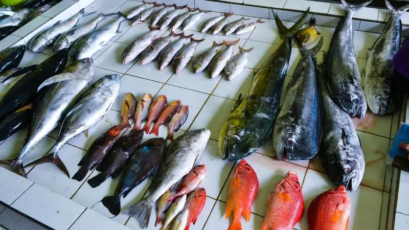 A variety of fresh fish for sale at the Male fish market, a must-visit spot according to any Male travel guide.
