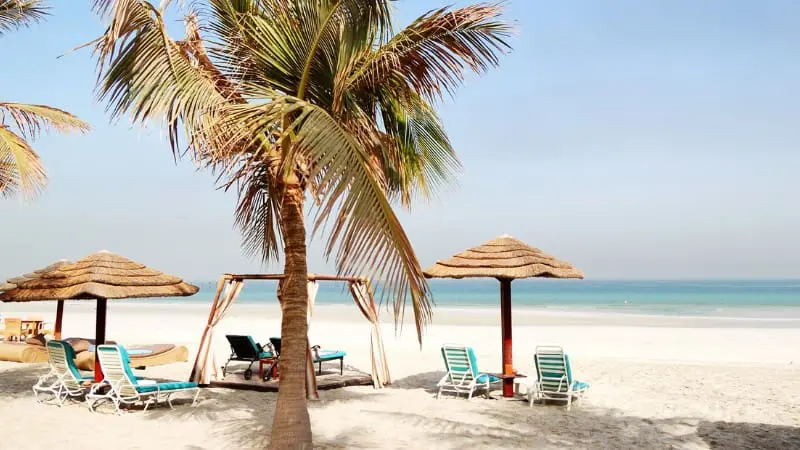 Palm trees provide shade for lounge chairs on a pristine white sand beach in Ajman, free to visit.