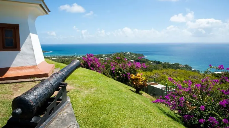 Historic cannon overlooking a picturesque coastline at Fort King George, a famous landmark in Tobago.