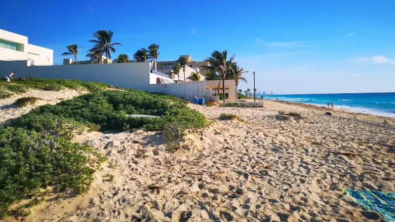 Serene waves touch the sandy shore of Playa San Miguelito, lined with lush beachfront homes.