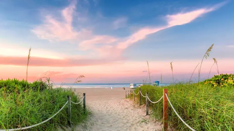 A tranquil path with greenery leads to a stunning ocean sunset at Xcacel Beach in Cancun.