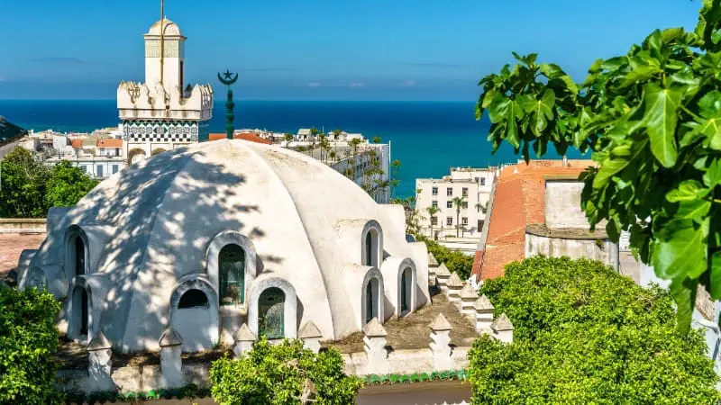 Unique structures in Casbah Algiers with the Mediterranean Sea in the background.