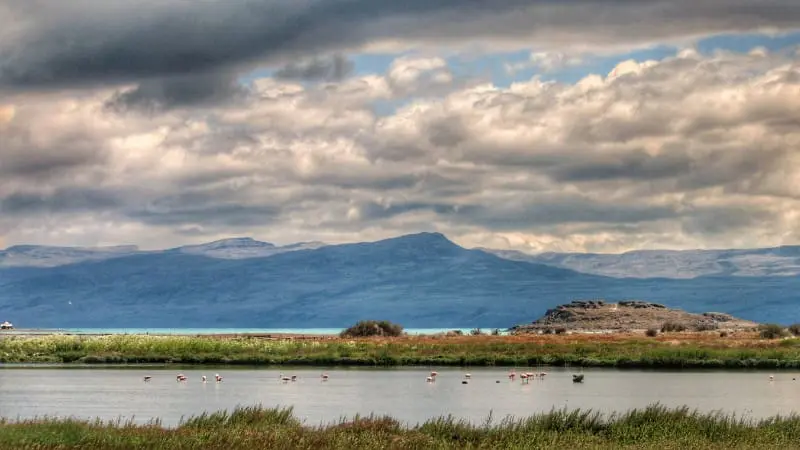 The serene landscape of Laguna Nimez Reserve with flamingos in El Calafate Argentina.