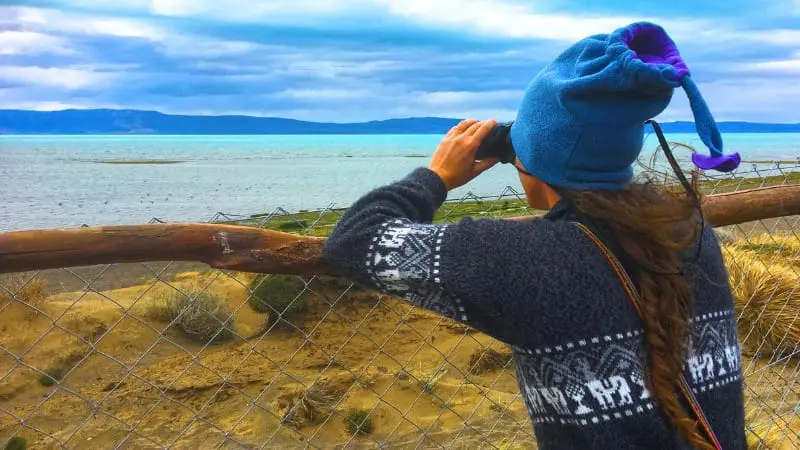 Woman using binoculars to spot birds at Laguna Nimez Reserve in El Calafate.