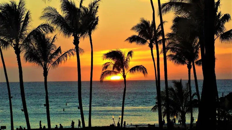 Silhouetted palm trees against a vibrant Maui sunset, a breathtaking view for families.