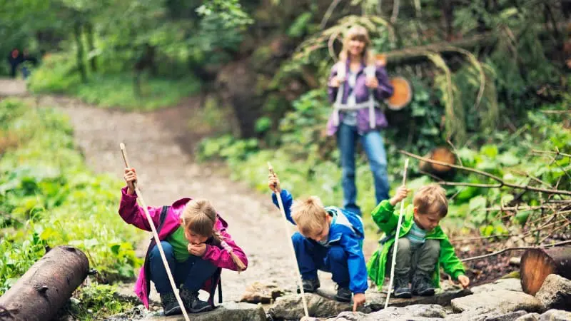 Children exploring nature on a family-friendly hiking trail in Maui.