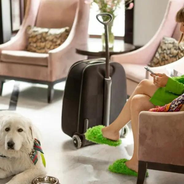 Pet friendly hotels in Destin Florida - Woman and dog relaxing at a hotel lobby.