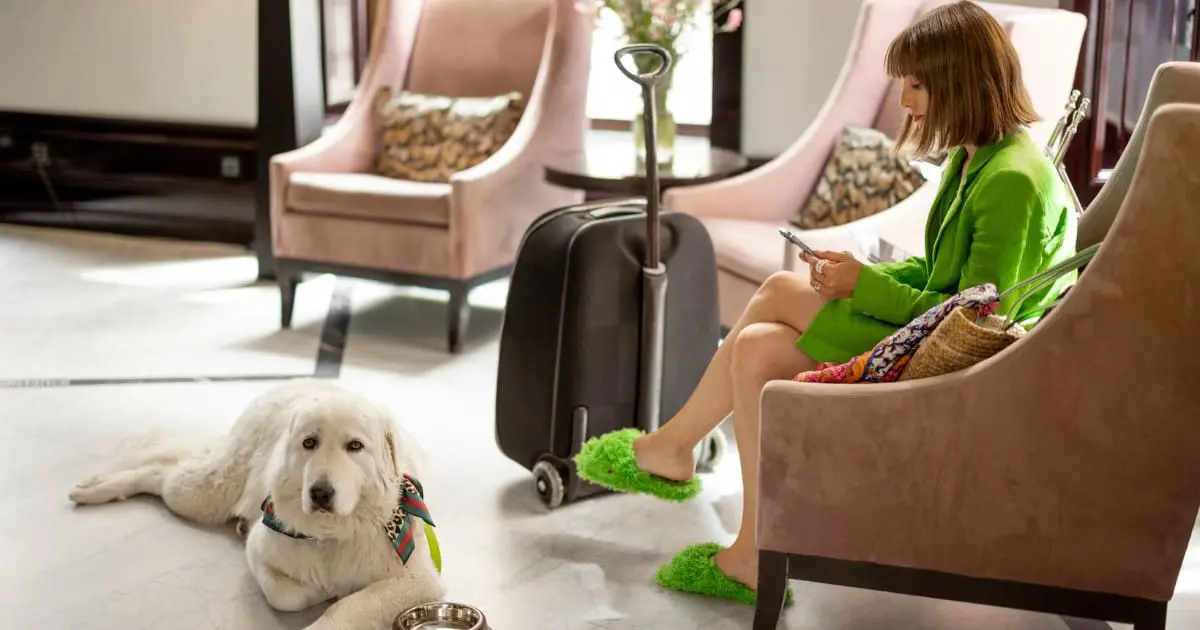 Pet friendly hotels in Destin Florida - Woman and dog relaxing at a hotel lobby.