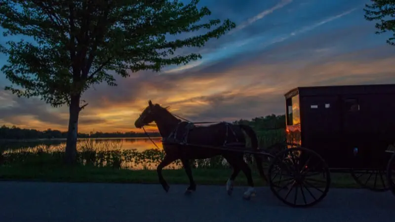 Horse-drawn carriage at sunset, one of the things to do in Berlin, Ohio you should not miss.