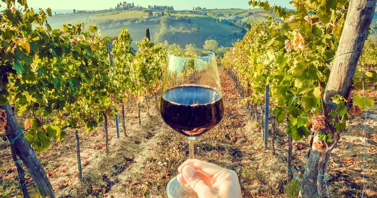 Argentina wine tasting in a vineyard with red wine glass.