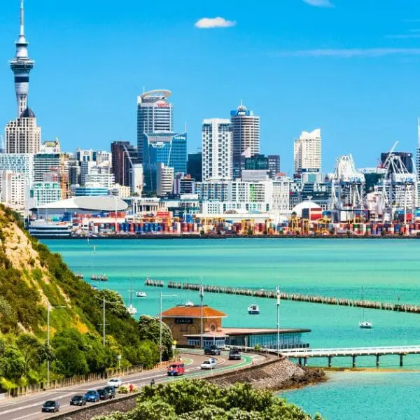 Free things to do in Auckland - city view with Sky Tower and harbor.