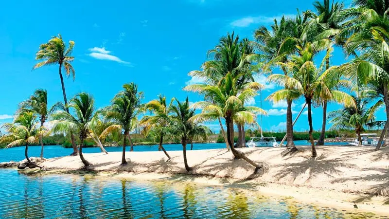 Palm-fringed beach at Rum Point near George Town, in Cayman Islands.