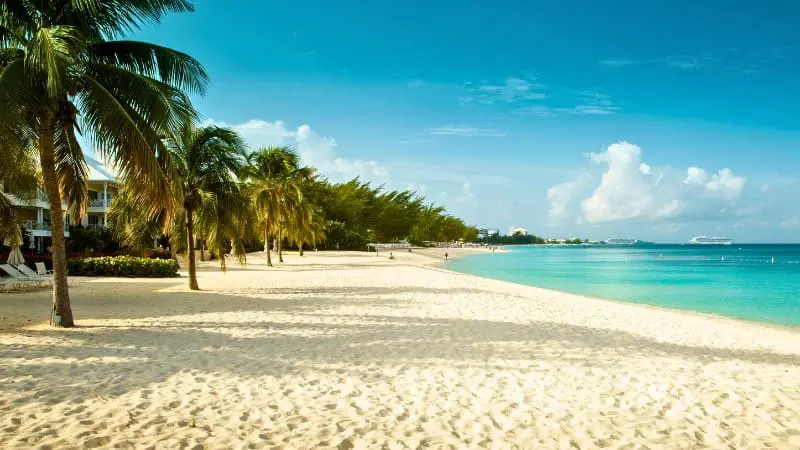 Seven Mile Beach in George Town with palm trees and turquoise waters.