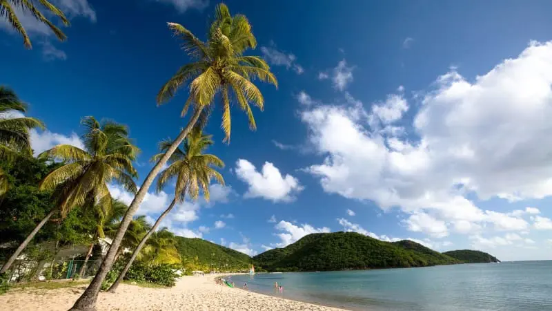 Pristine beaches near Bridgetown, perfect for relaxation and water activities.