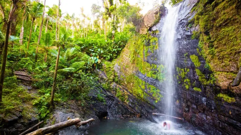 Waterfall in El Yunque, a nature lover's dream in a 5-days Puerto Rico itinerary.