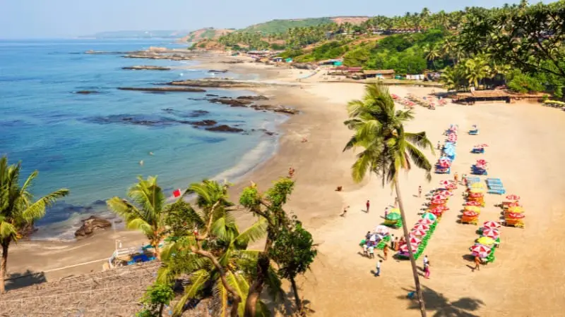 Aerial view of Calangute Beach showing its long shoreline and bustling atmosphere.