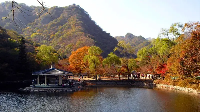 Admire the fall colors at Naejangsan National Park in Korea.