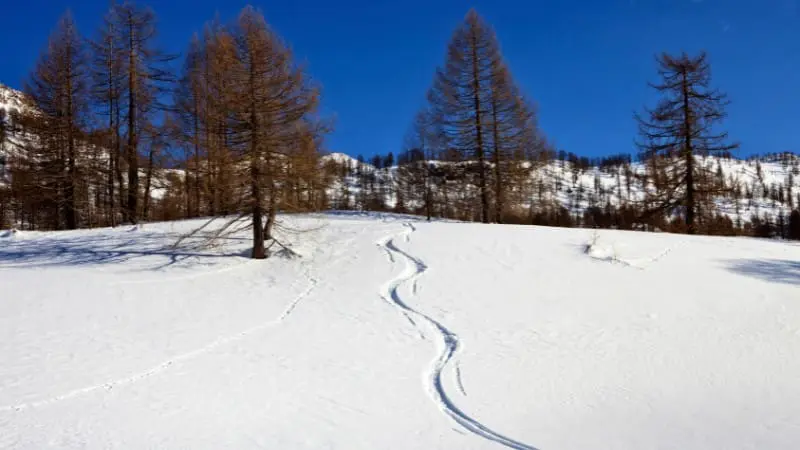 Day Trips from Seoul - Ski through Oak Valley Snow Park's peaceful slopes.