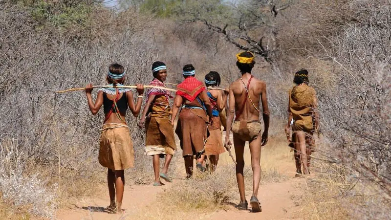 The San people of Botswana traditionally gathered wild foods and hunted.