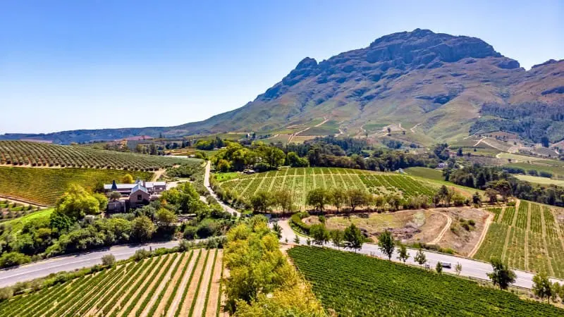 Vineyards in Stellenbosch, a must-visit on a 10-day South Africa itinerary.