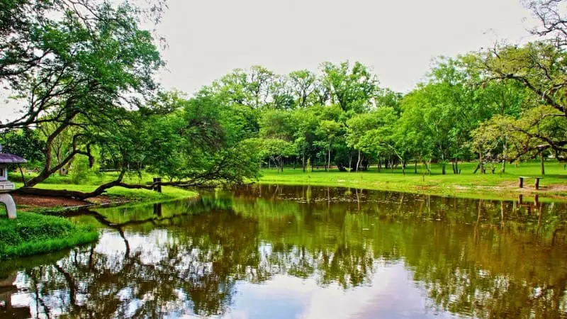 Peaceful pond at Jardín Botánico in Asuncion, a spot for nature lovers.