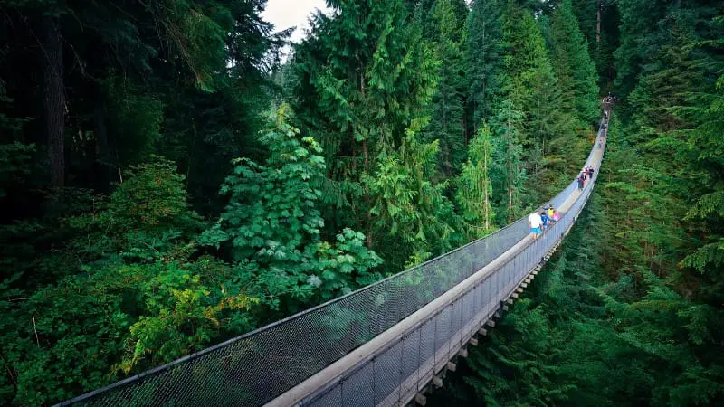 Capilano Suspension Bridge is a favorite for young adults in Vancouver.