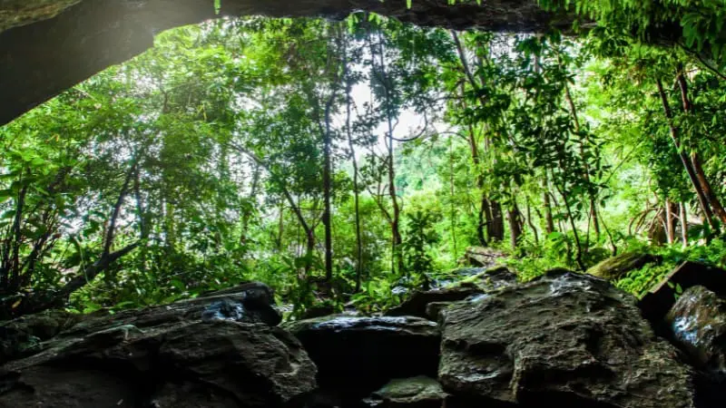 Visit Amboro National Park near Santa Cruz Bolivia for nature and wildlife.
