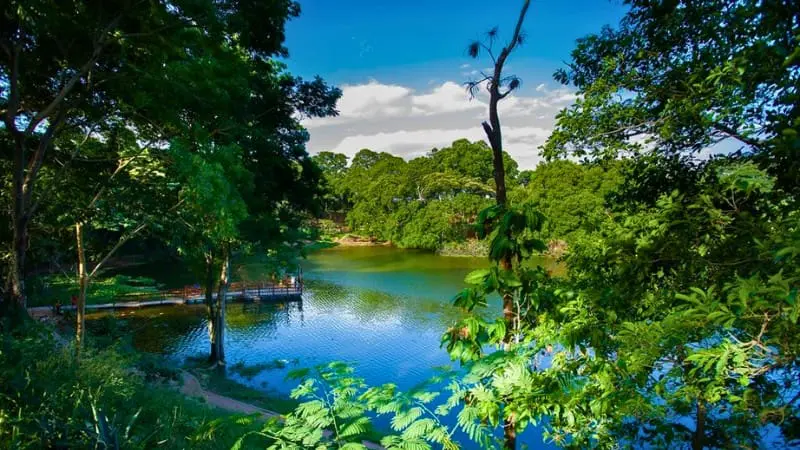 Relax at Santa Cruz Botanical Garden in Bolivia.