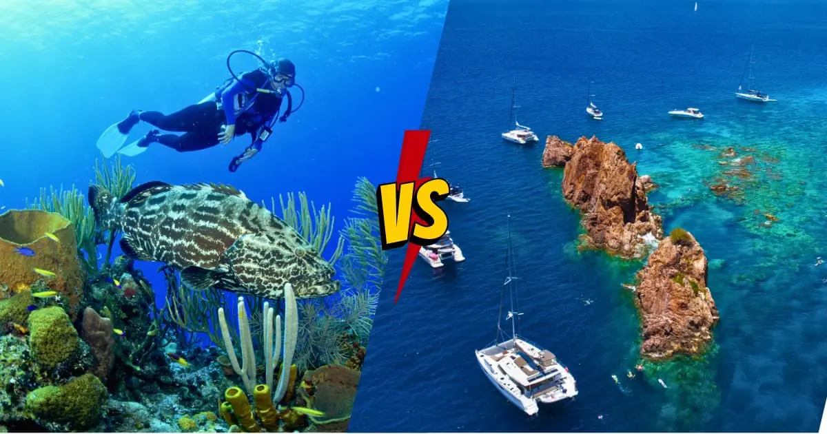 USVI is great for snorkeling, while BVI is ideal for world-class sailing.