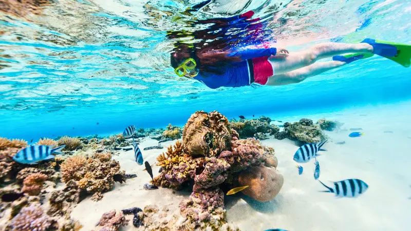 Snorkeling through the clear water and coral reefs at a top snorkeling spot in Vieques.