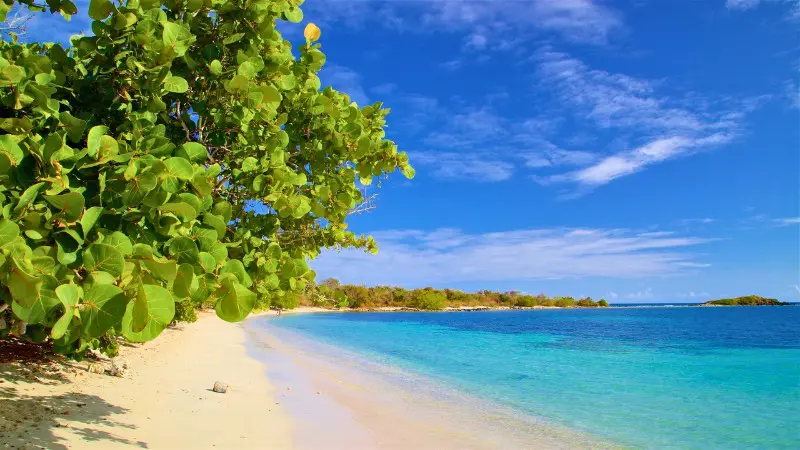 Playa La Chiva’s white sand and turquoise water make it my favorite beach in Vieques.