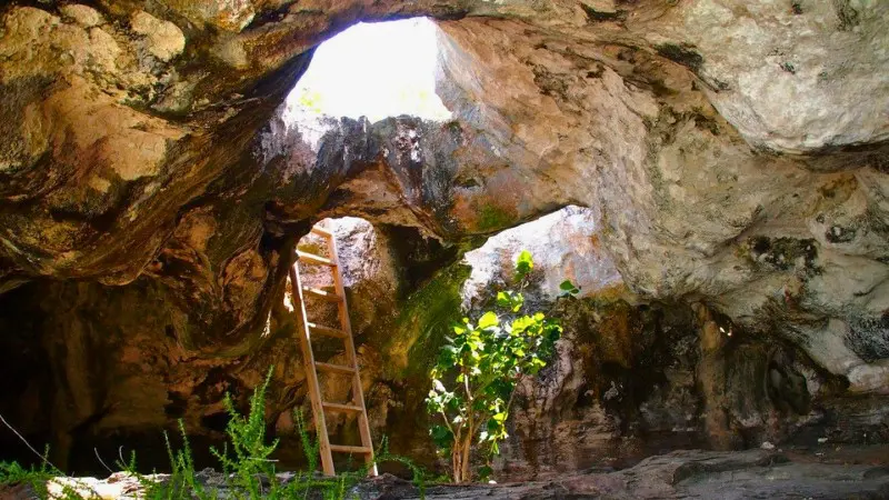 It's a tie for local culture with Grand Cayman offering cosmopolitan charm and Turks a laid-back vibe.