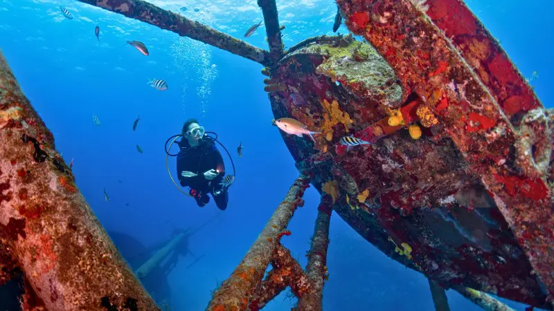Grand Cayman wins for snorkeling and diving with more dive sites and unique experiences like Stingray City.
