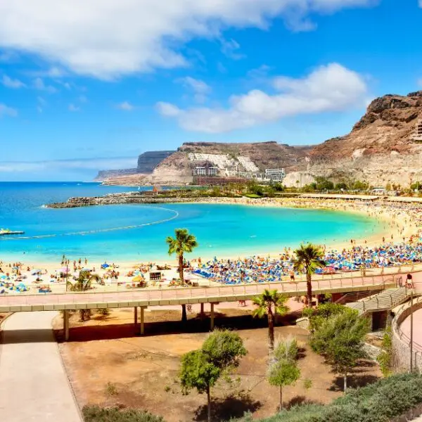 Both islands offer unforgettable experiences, but your choice depends on budget and travel style.