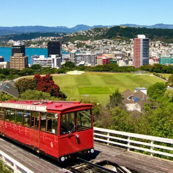 Wellington's city view offers a perfect spot to visit, ideal for first-time visitors.