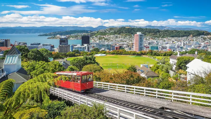 Ride the Wellington Cable Car for amazing views and easy access to the Botanic Garden.