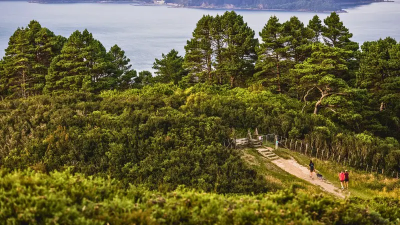 Mount Kaukau offers stunning views, one of the best places to visit in Wellington.