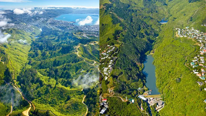 ZEALANDIA lets you explore rare wildlife and nature, a must-visit in Wellington.