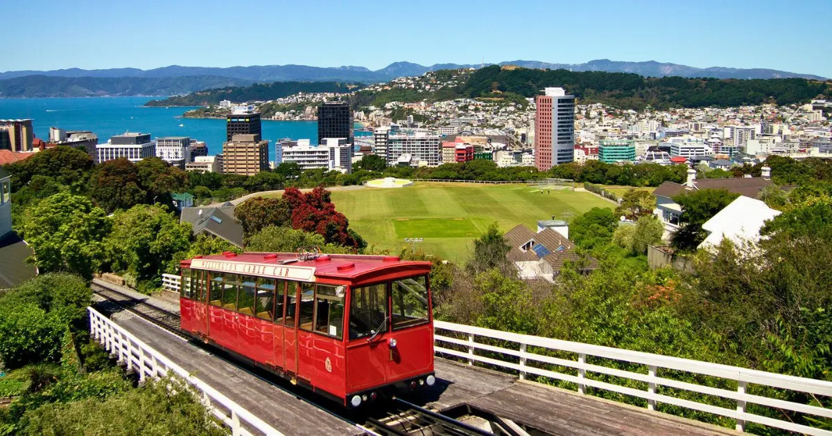 Wellington's city view offers a perfect spot to visit, ideal for first-time visitors.