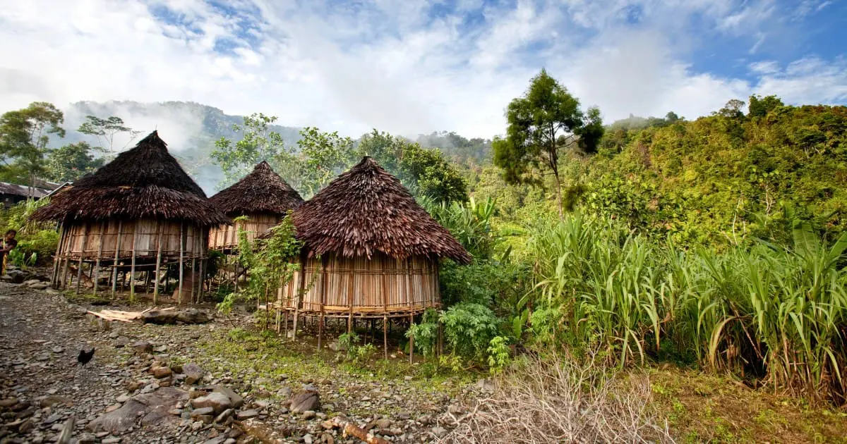 See traditional highland houses and learn about local culture in Papua New Guinea.