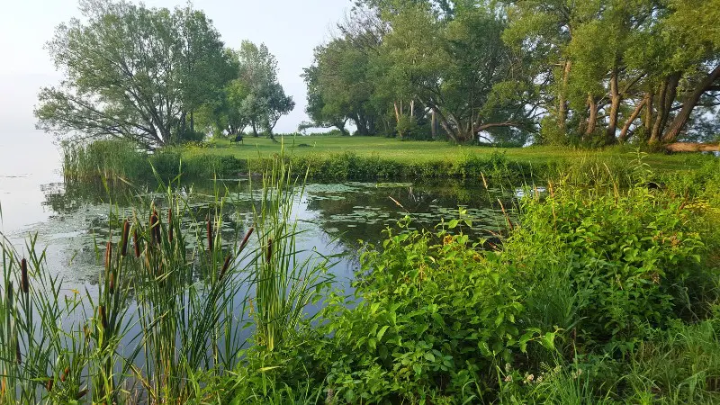 Lush greenery and serene wetlands in Tivat's Solila Nature Reserve.