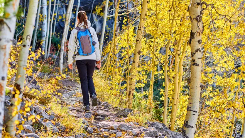 Aspen’s hiking trails offer vibrant views and fresh air for summer explorers.
