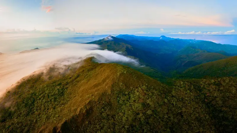 Mount Hamiguitan's unique pygmy forest on its peak, rich in wildlife.