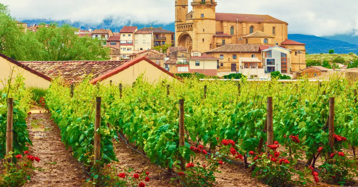 Rioja is one of Spain’s most famous wine regions, known for bold Tempranillo reds.