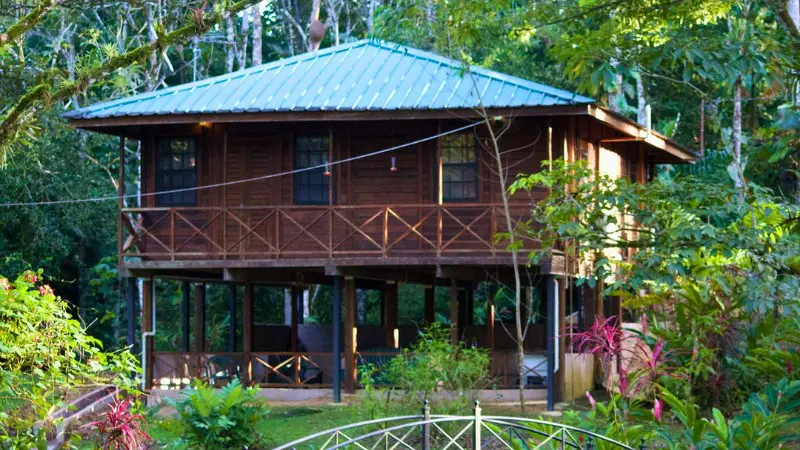 Hacienda Jacana offers a peaceful stay for birdwatching enthusiasts in Trinidad.