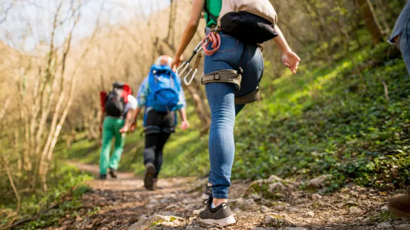 Group of hikers walking uphill on a trail in Banff National Park.